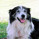 Doohan was adopted in November, 2005